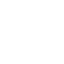 brain 2